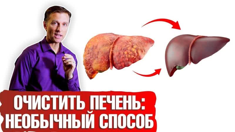 Как очистить печень от жира Необычный