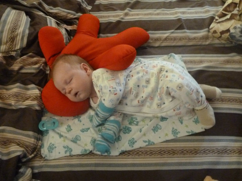 Елена Переверзева | Барнаул