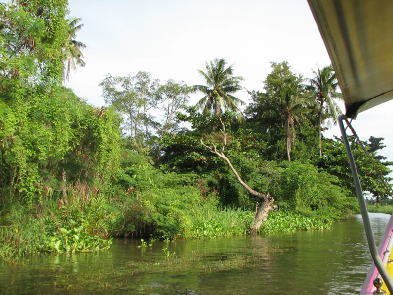 Алексей Солонин | Жуковский