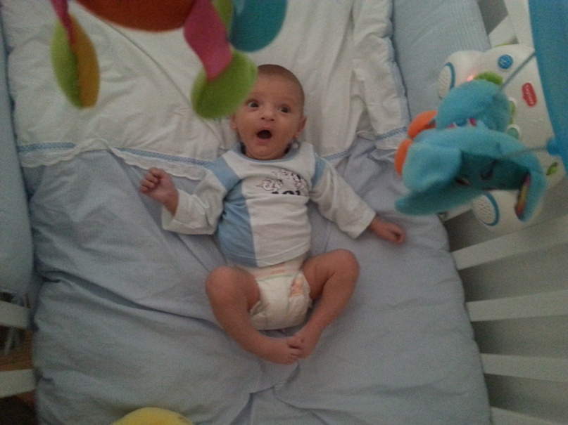 Елена Бережная | Ришон ЛеЦион