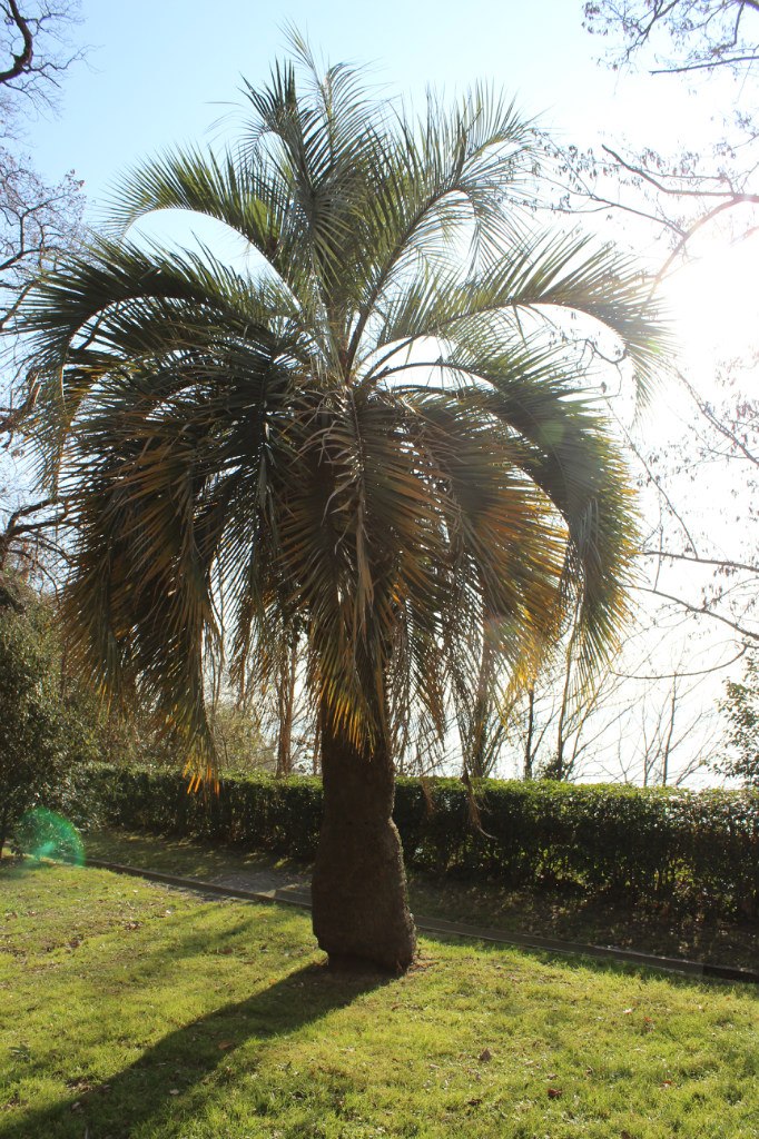 Олег Богданов | Душанбе