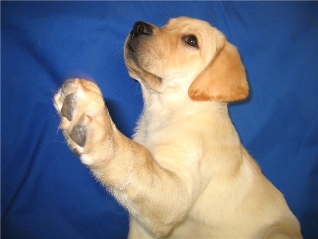 Руслан Доронин | Курган