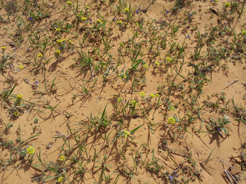 Юлия Ткачёва | Ставрополь