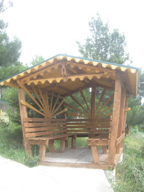 Дмитрий Фатеев .-