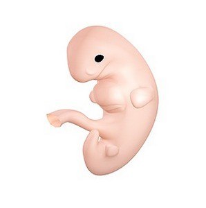 Елена Малинина | Санкт-Петербург