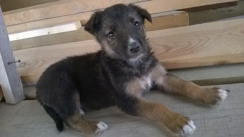 Екатерина Сырова | Екатеринбург