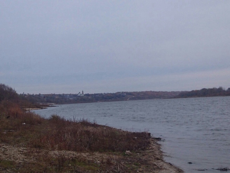 Михаил Андреевич | Фрязино