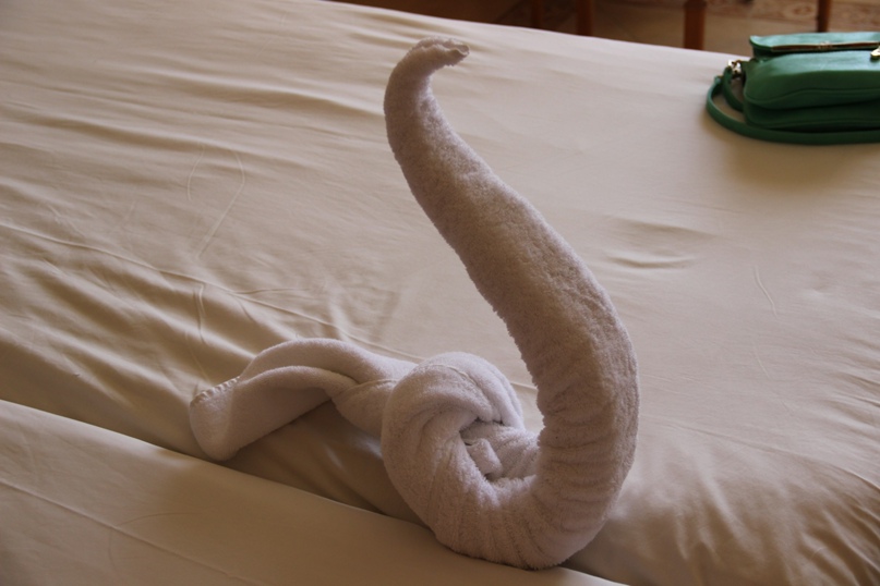 Кристина Колесова | Котлас