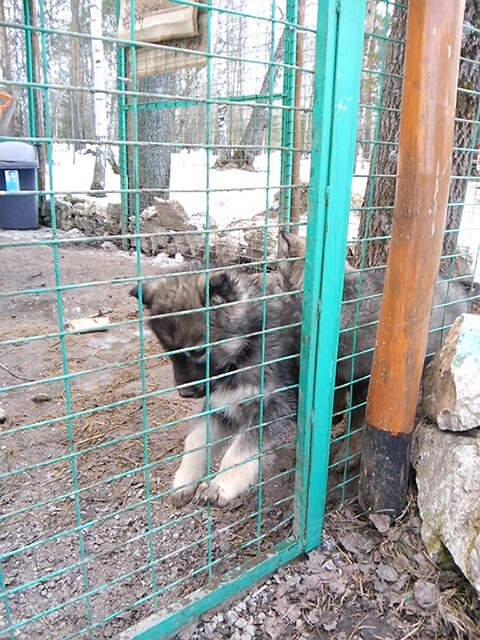 Дима Пермяков | Екатеринбург