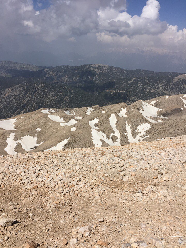 Марина Плаксина | Курган