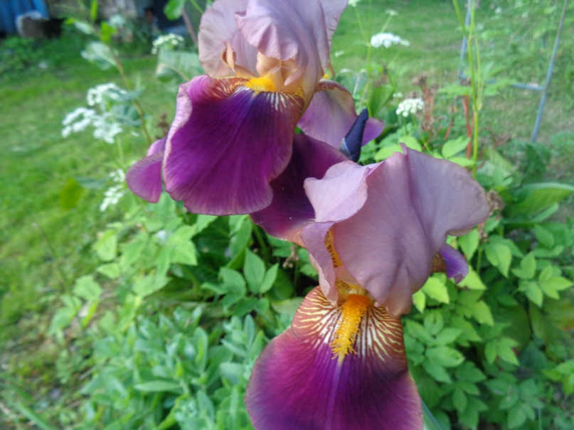 Людмила Девяткина | Люберцы