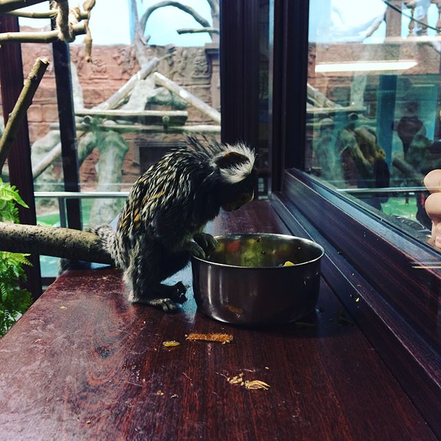 Андрей Филимонов | Чайковский