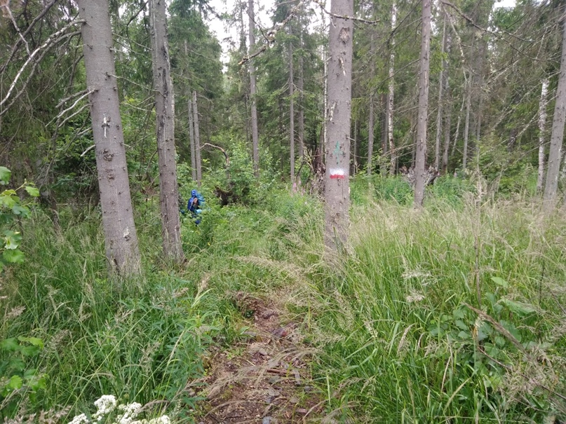 Анна Романова Аннушка | Санкт-Петербург