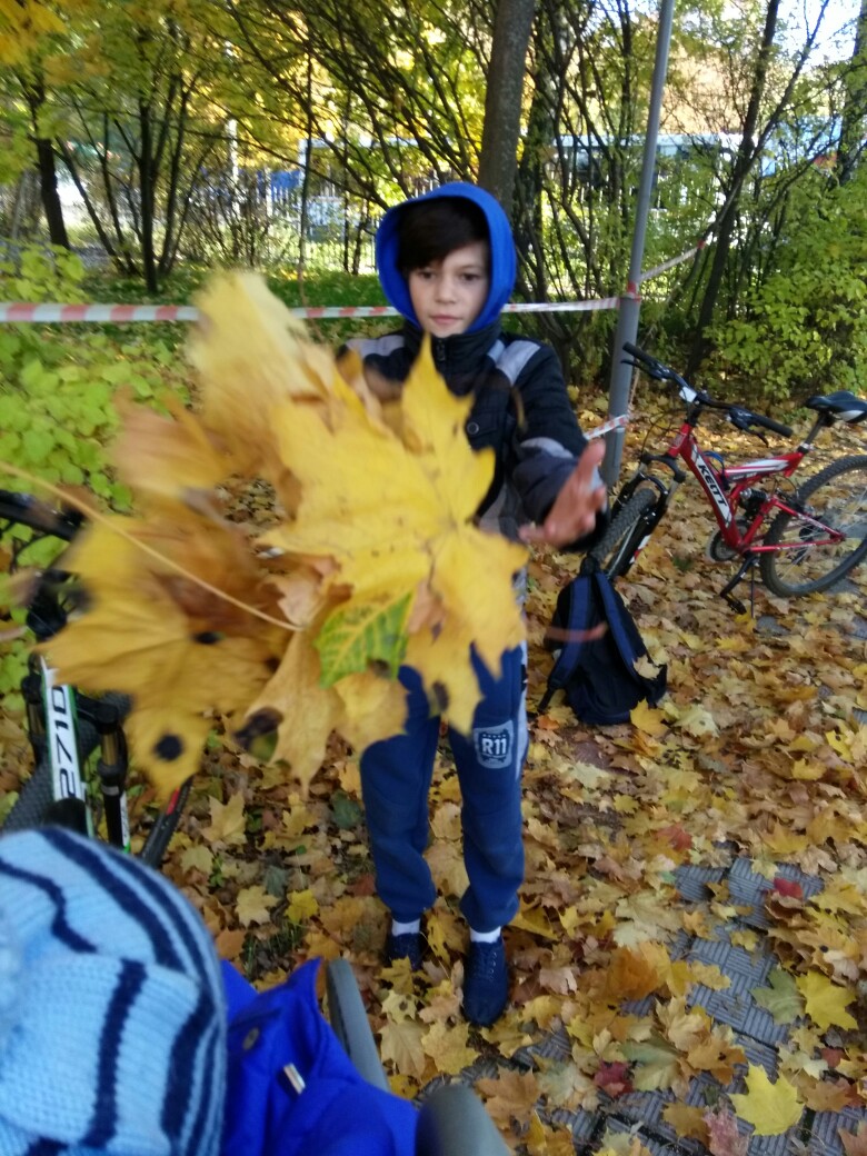 Максим Ермошин | Балашиха