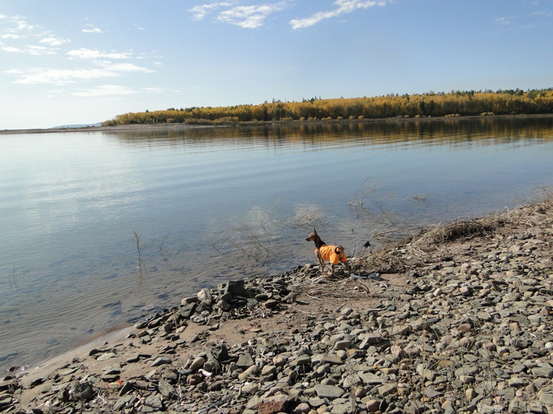 Ольга Попова | Братск