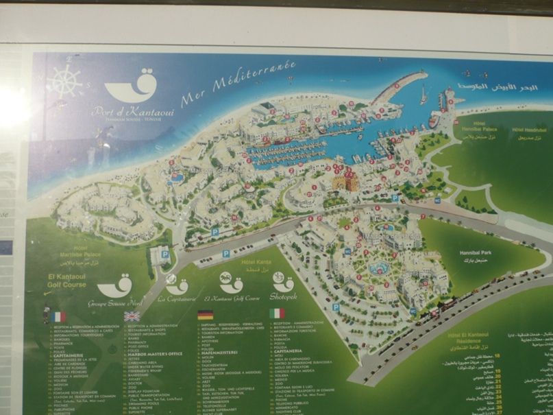 Елена Ясинская | Санкт-Петербург