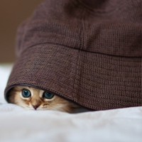 Фотография страницы Екатерины Владыченко ВКонтакте