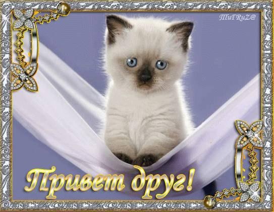 Анастасия Шарыгина | Верховажье