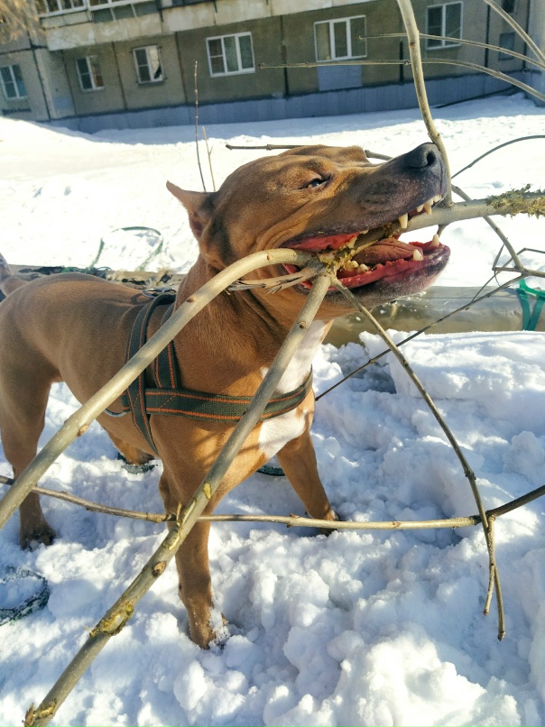 Анна Питерова | Челябинск