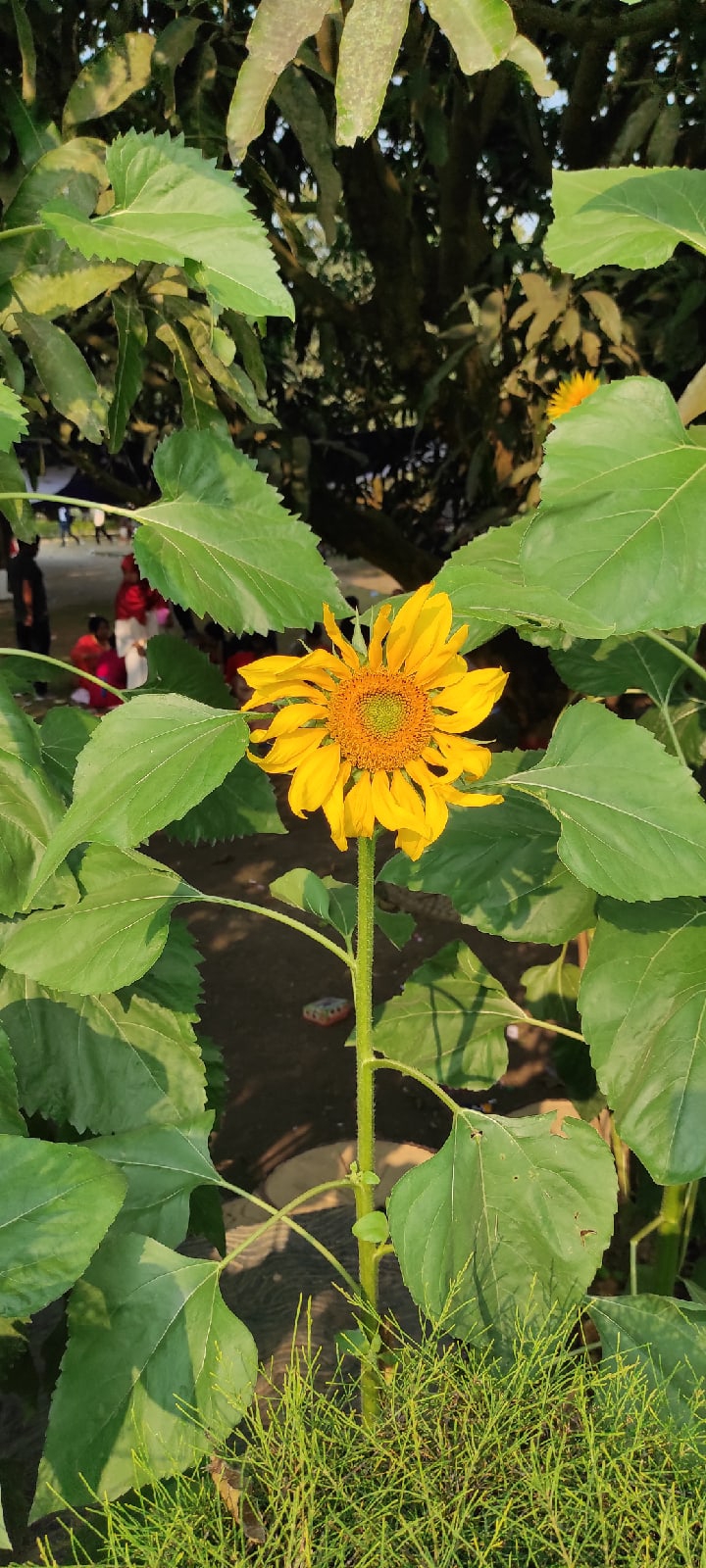 Юлия Болотова | Калуга