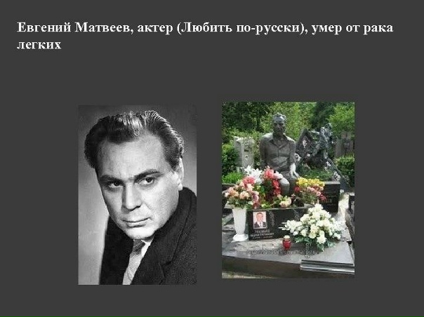 Евгений матвеев биография личная жизнь Евгений матвеев биография личная жизнь