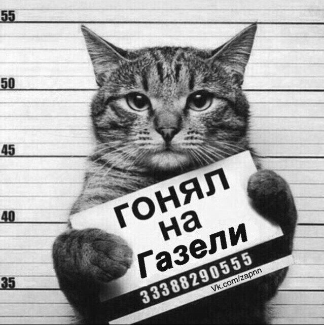 Антон Шишкин | Вязники