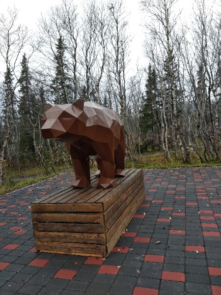 Ирина Сизова | Петрозаводск