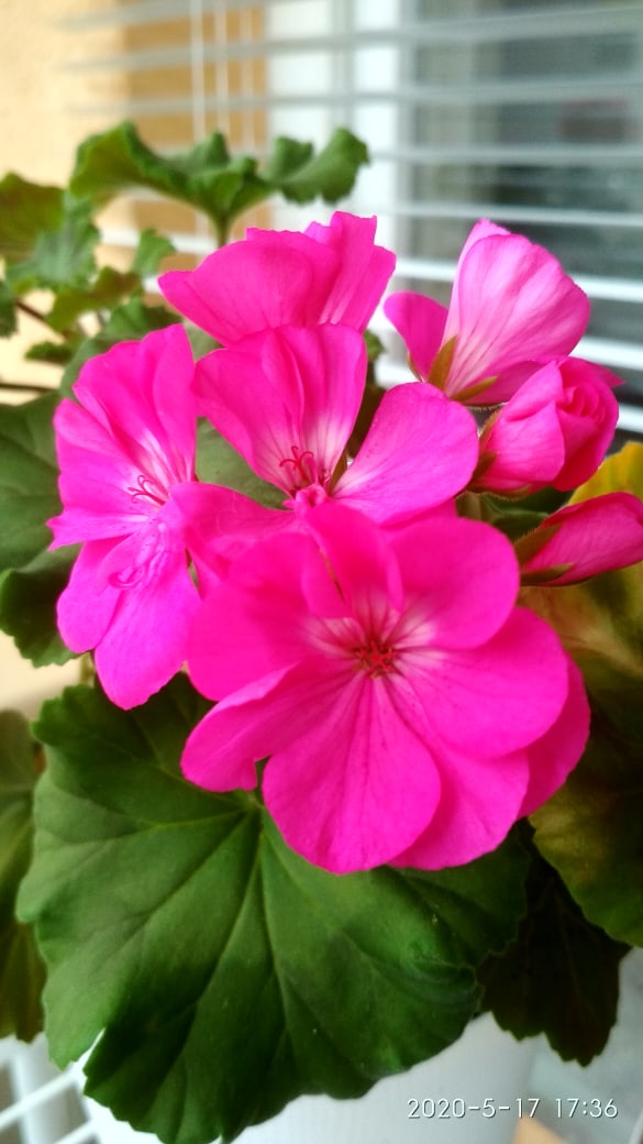 Ольга Фоменко | Северодвинск