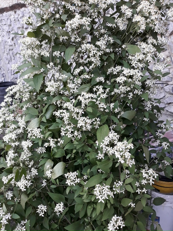 Ирина Клюева | Тюмень