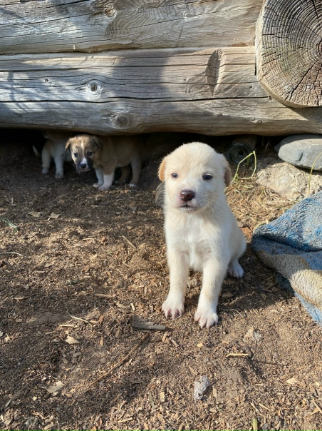 В заброшенную деревню,примерно в 10км от Старой...