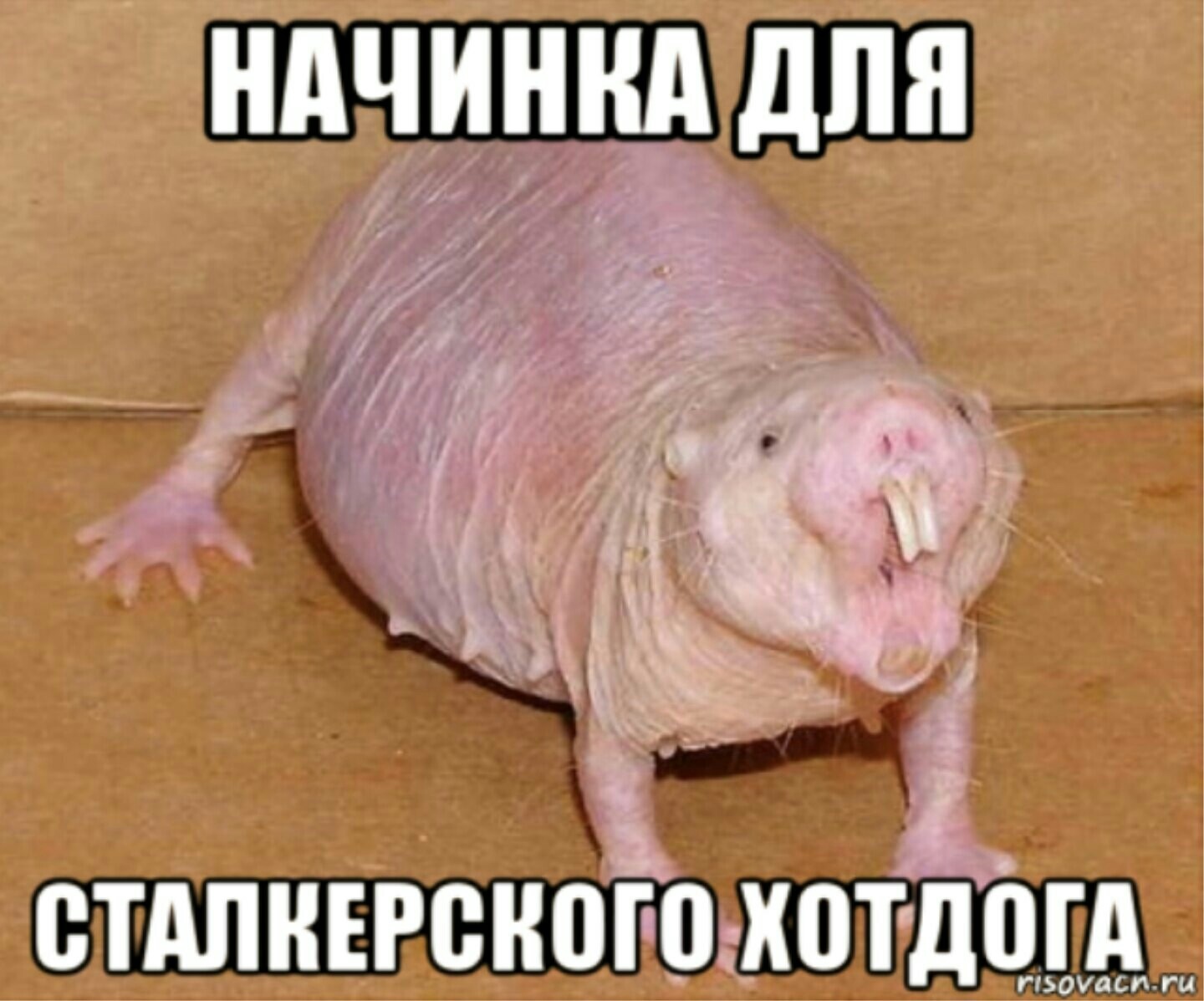 Сало уронили