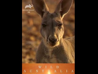 Дикая Австралия / Wild Australia Серия 2
