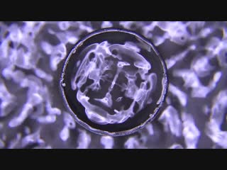 Kymat - Drop Sound Enlightenment   Augenlied (KymatampJunopilot)