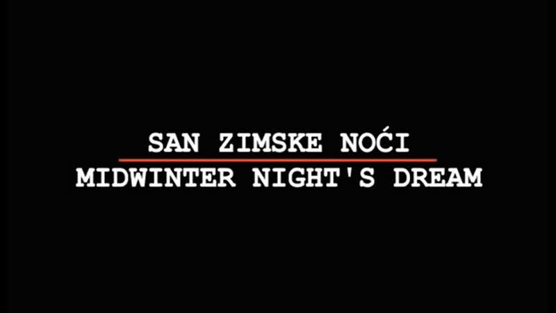 Goran Paskaljević San zimske noći