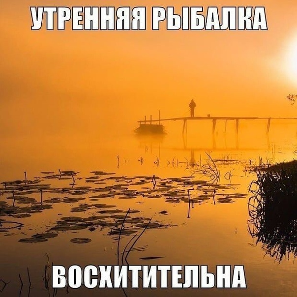 Доброе утро рыбаку