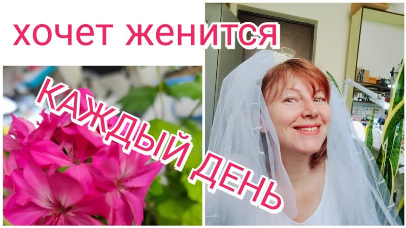 Переросшая петуния. Запрыгнула в последний вагон и сею