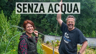 L’ORTO AUTOIRRIGANTE. Coltivare senz’acqua 💧