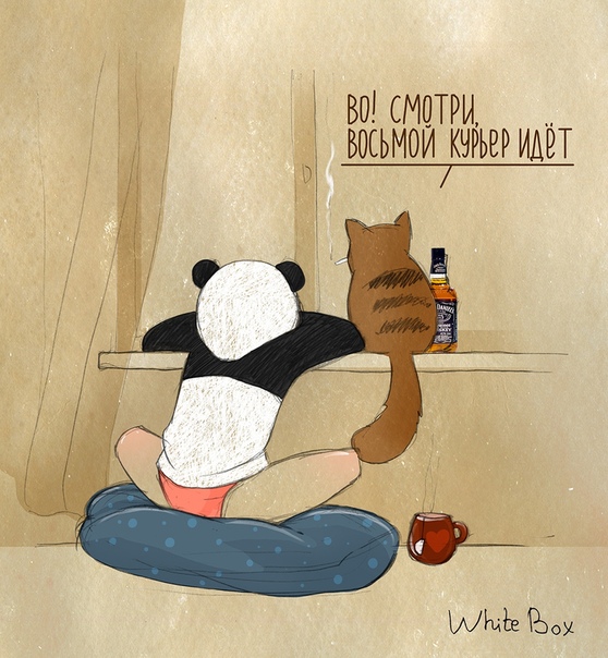 White box max. Котенок в костюме панды. White box комиксы. White box max. Девушка панда и кот.