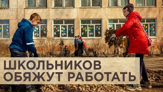 С 1 сентября российских школьников обяжут трудиться. Будут ли им платить?
