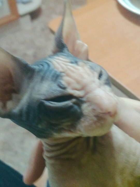 Кирилл Нагорный | Караганда