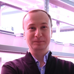 Вадим Тетерин, 37 лет, Пермь