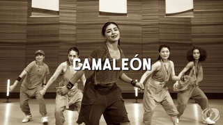 CAMALEON /SALSATION Choreography by SMT Grace & Kansai SEI TEAM