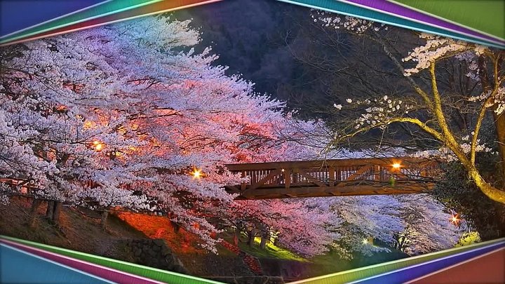 Красивая японская песня Beautiful Japanese songПесня Цветок любви
