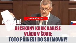Neuvěříte, jaký návrh dal Babiš. VLÁDU Z TOHO ŠLEHNE O ZEM. Toto přinesl...