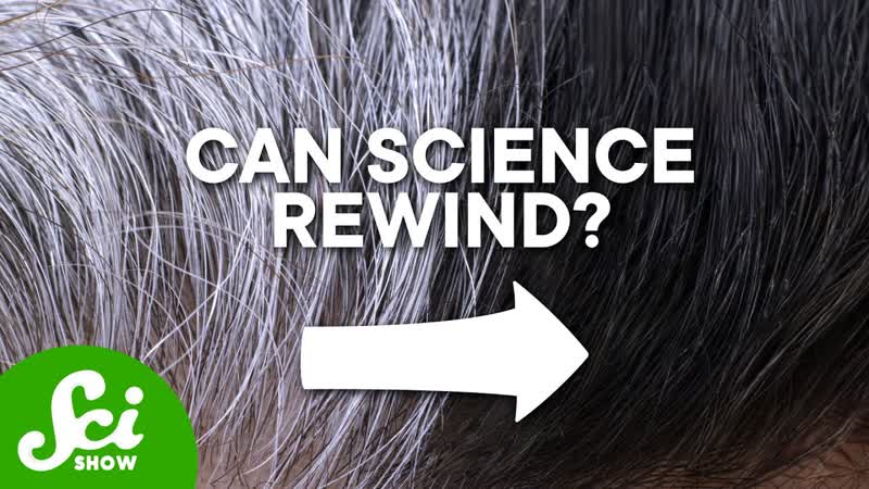 Can Gray Hair Be